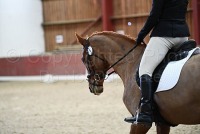 Chester Hall Dressage 15th July 2017
