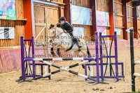 Merrist Wood - 3rd January 2026 - Arena Eventing
